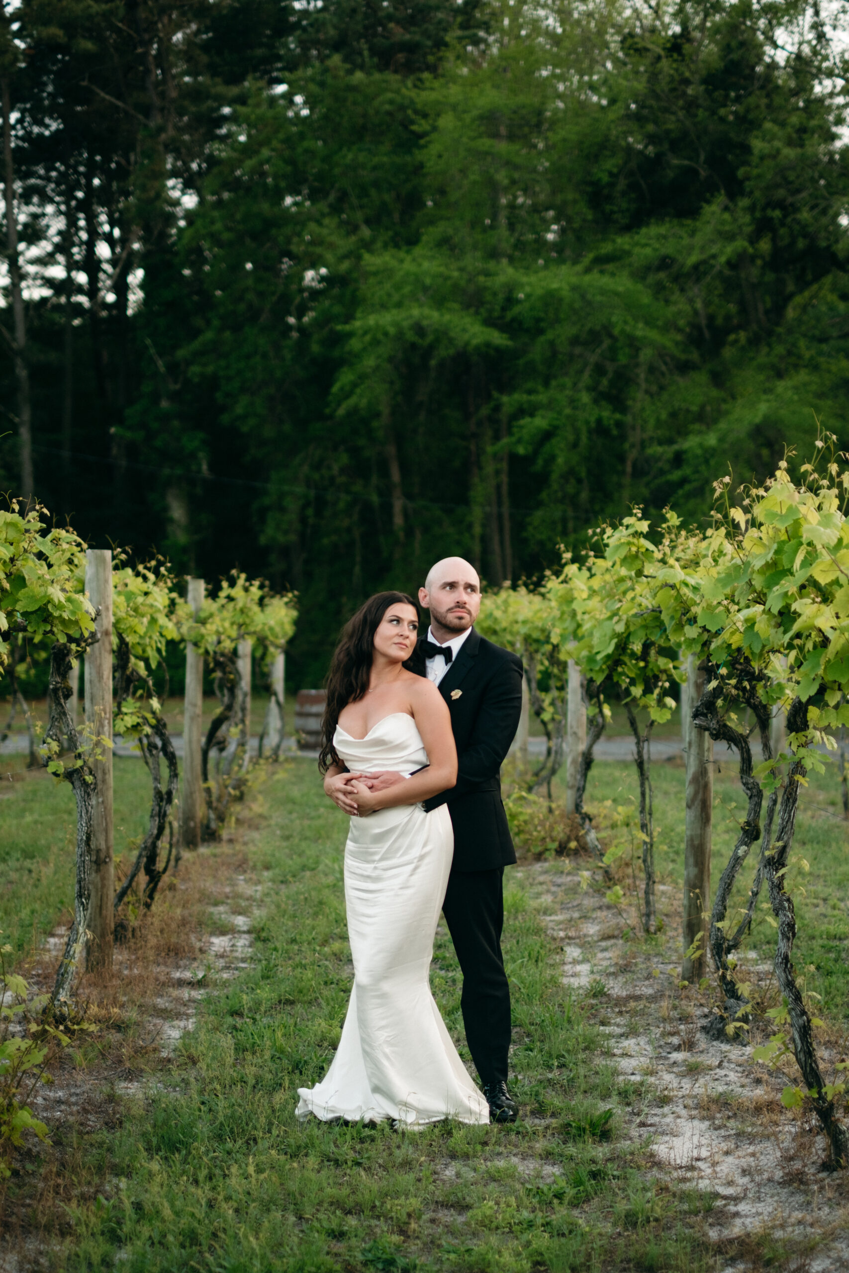 newlyweds stand elegantly together in vinyard aisle